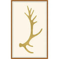 Gold Antler 2