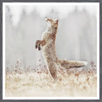 Fox On Alert wall art by Celadon Art - Grey