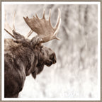 Moose in Profile wall art by Celadon Art - Grey