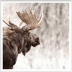 Moose in Profile wall art by Celadon Art