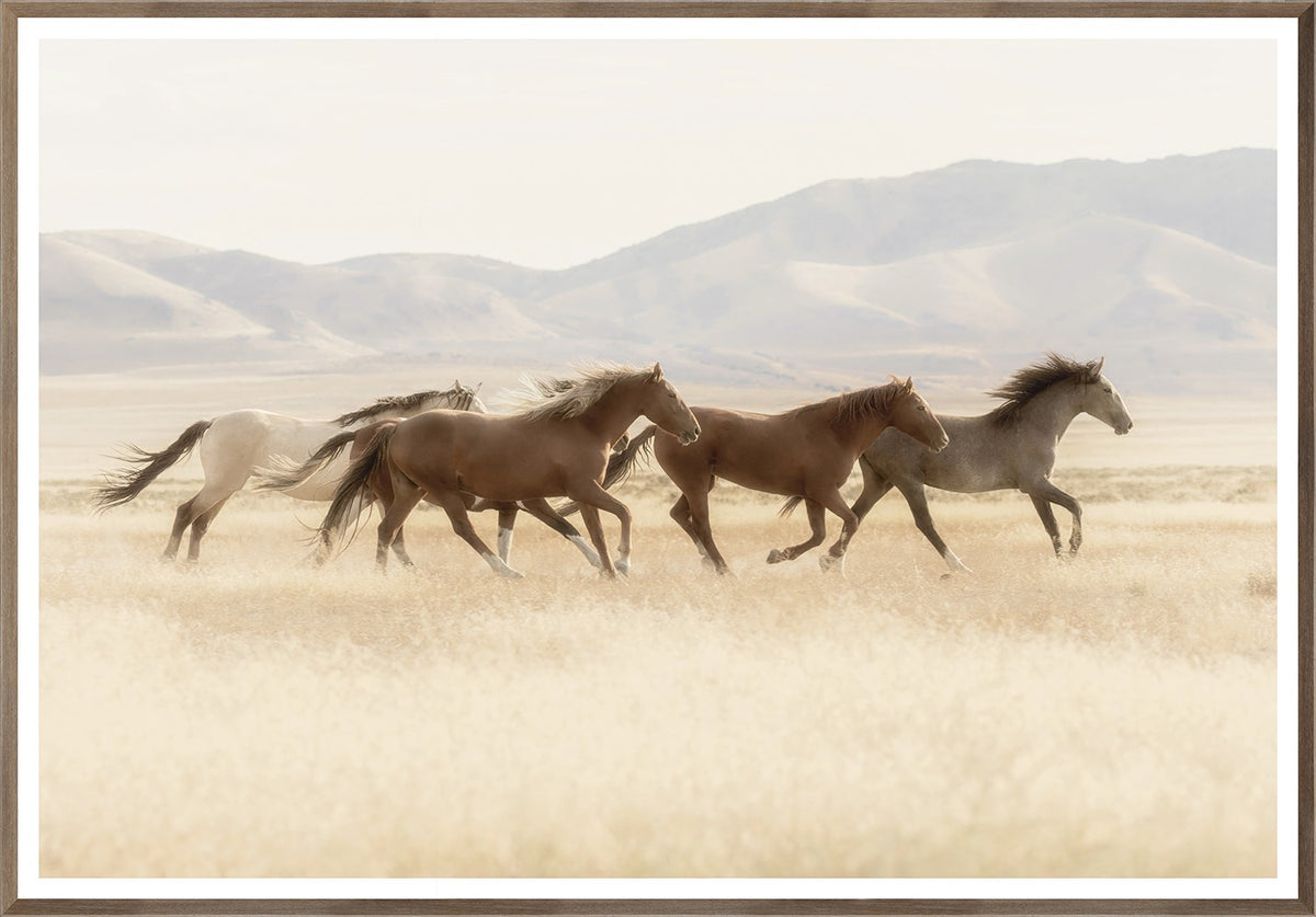Wild Horses wall art by Celadon Art