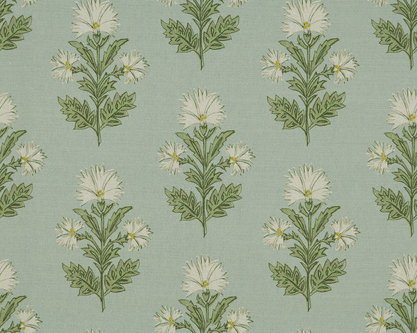 MINT