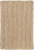Rio Braided Handwoven Indoor/Outdoor Rug