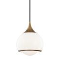 Reese Glass Globe Pendant Light in Aged Brass
