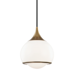 Reese Glass Globe Pendant Light in Aged Brass