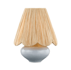 Cailyn raffia shade table lamp with Frost Crackle ceramic base