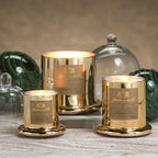 Apothecary Guild Scented Candle Jar with Glass Dome - Large