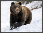 Bear In the Snow wall art by Wendover Art - view 2
