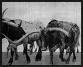 Cattle Call 2 wall art by Wendover Art