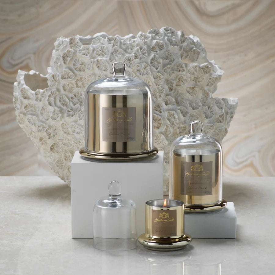 Apothecary Guild Scented Candle Jar with Glass Dome - Large