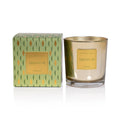 Signature Apothecary Guild Boxed Candle Jar - 20 oz