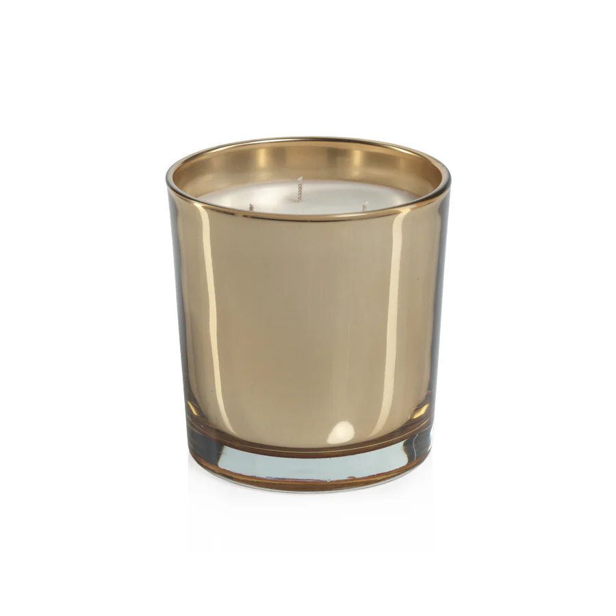 Signature Apothecary Guild Boxed Candle Jar - 20 oz