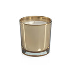 Signature Apothecary Guild Boxed Candle Jar - 20 oz