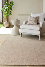 Birdie Indoor/Outdoor Rug styled in a room