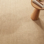 Donovan Handwoven Performance Rug